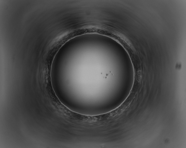 X0000101961111200807181034