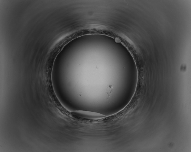 X0000101961112200807181034