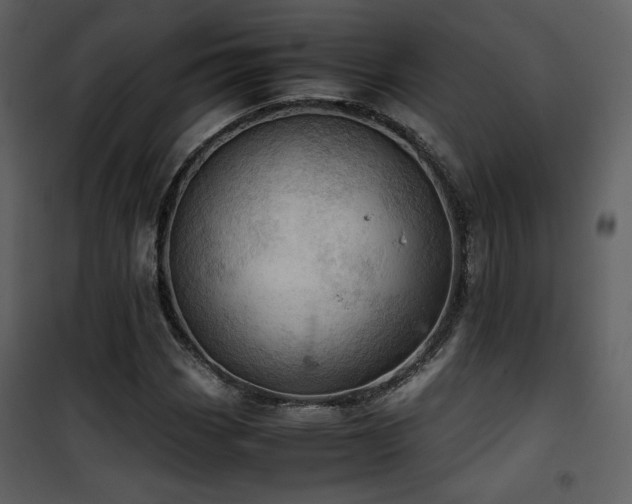 X0000101961113200807181034