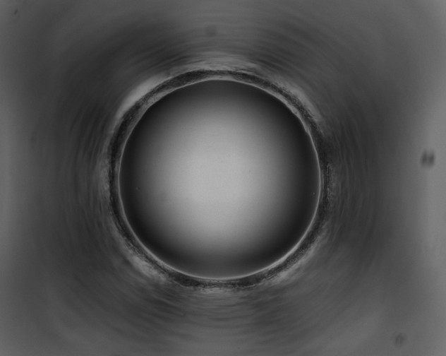 X0000101961114200807181034