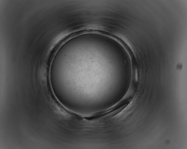 X0000101961115200807181034