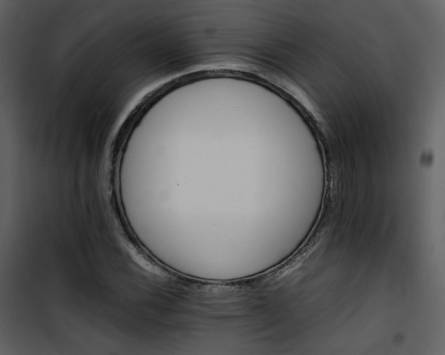 X0000101961116200807181034