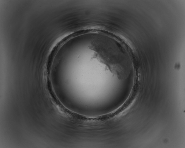 X0000101961117200807181034