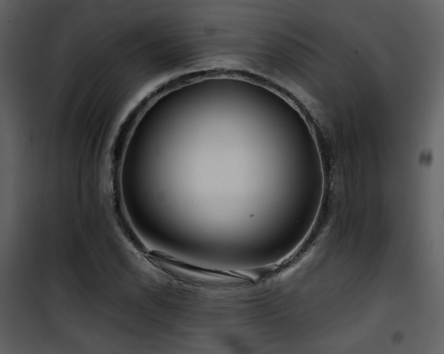 X0000101961118200807181034