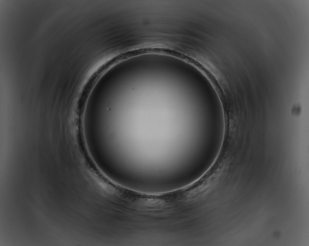 X0000101961119200807181034