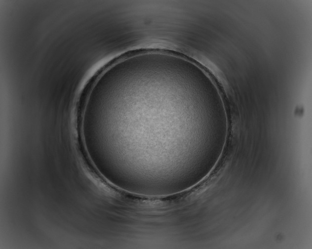 X0000101961120200807181034