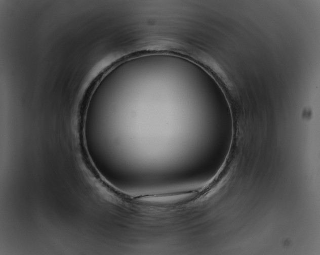 X0000101961122200807181034