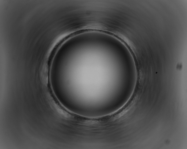 X0000101961123200807181034
