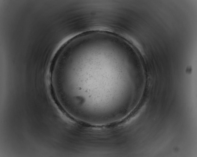 X0000101961125200807181034