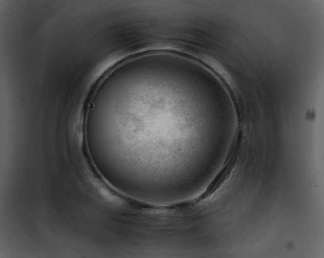 X0000101961127200807181034