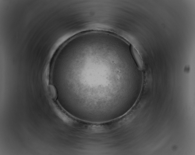 X0000101961128200807181034