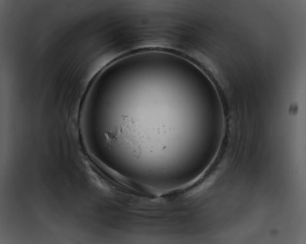 X0000101961129200807181034