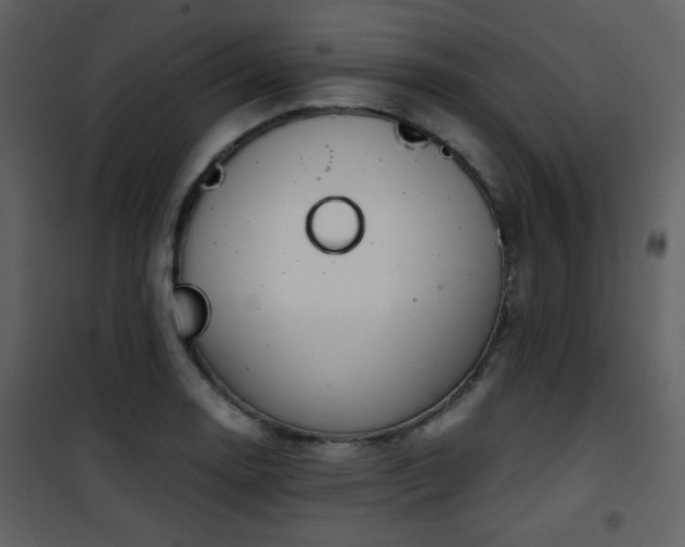 X0000101961130200807181034