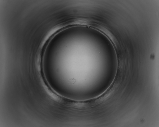 X0000101961131200807181034