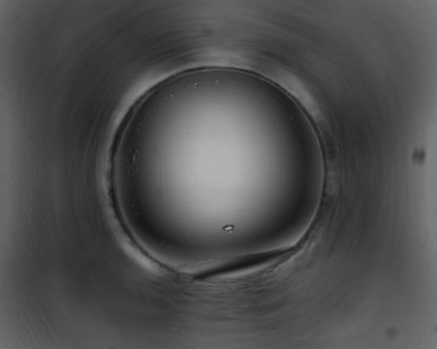 X0000101961136200807181034