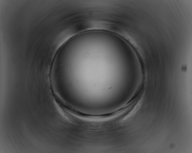 X0000101961137200807181034