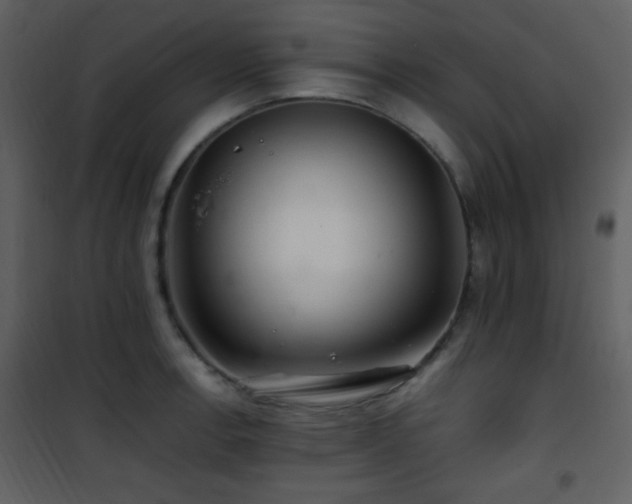 X0000101961138200807181034