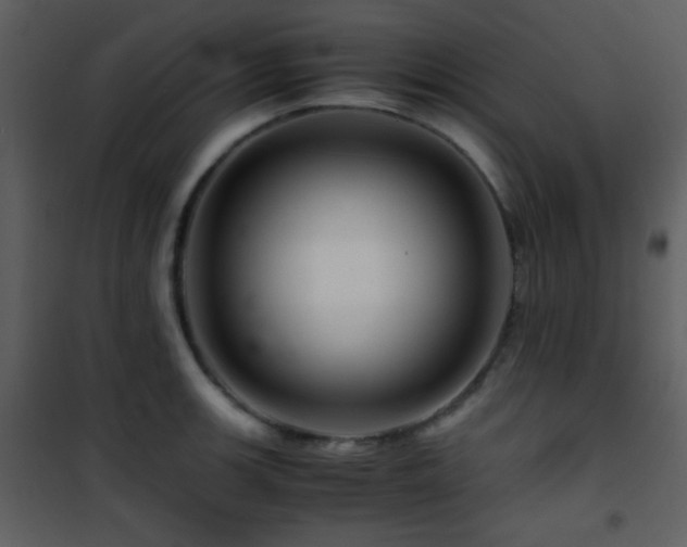 X0000101961139200807181034