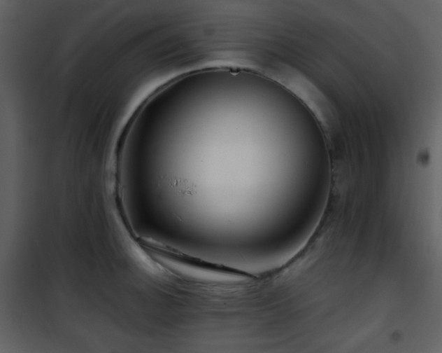 X0000101961140200807181034