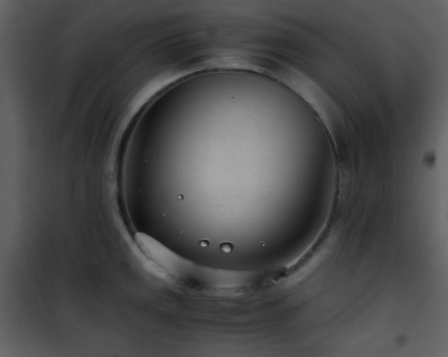 X0000101961141200807181034
