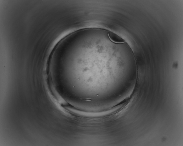 X0000101961142200807181034