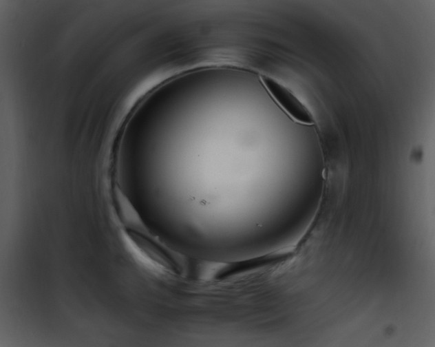 X0000101961143200807181034