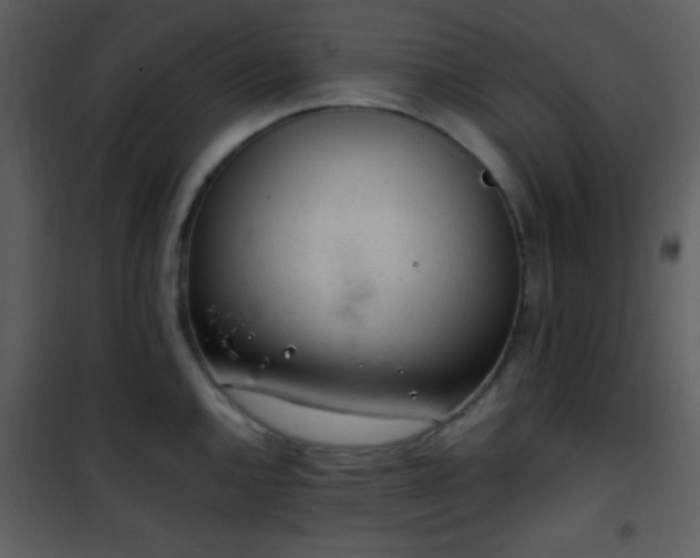 X0000101961144200807181034