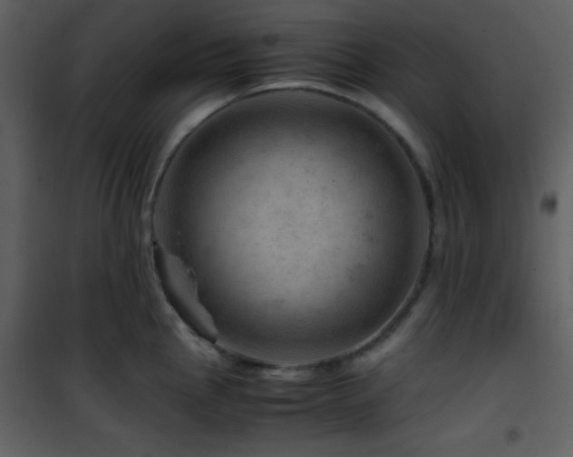 X0000101961145200807181034