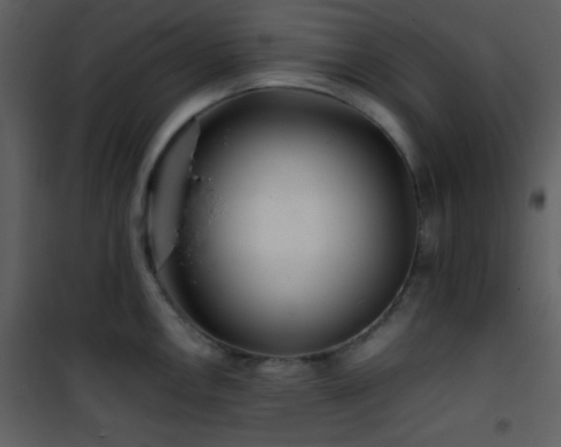X0000101961146200807181034