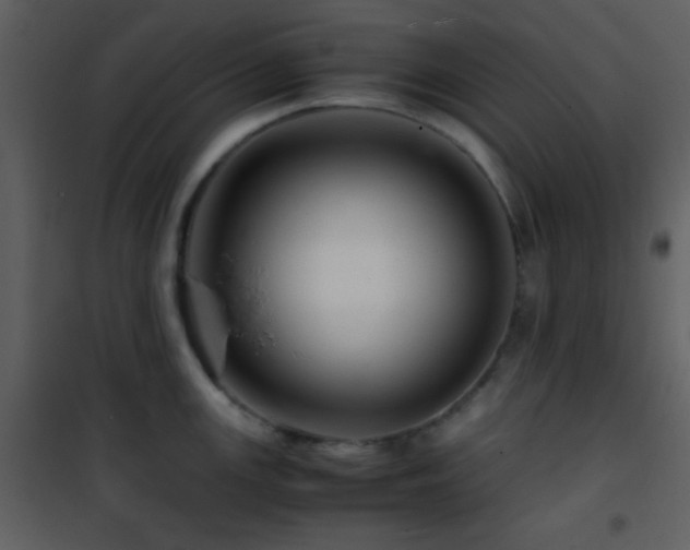 X0000101961147200807181034