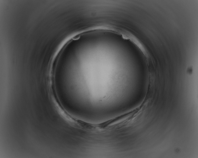 X0000101961148200807181034