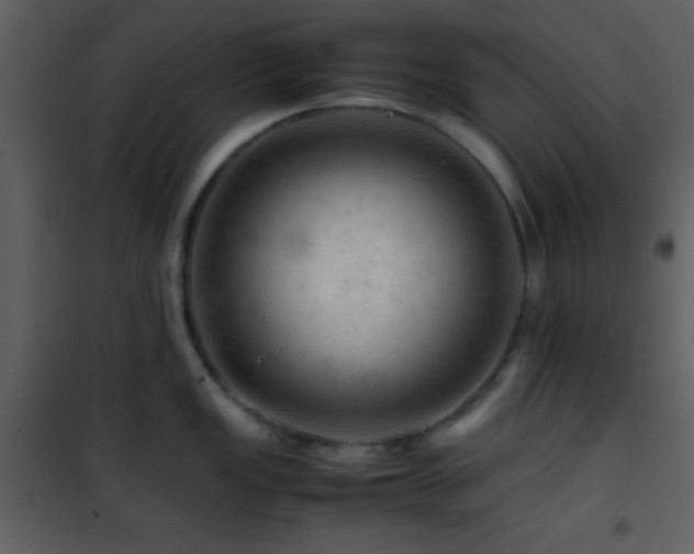 X0000101961149200807181034