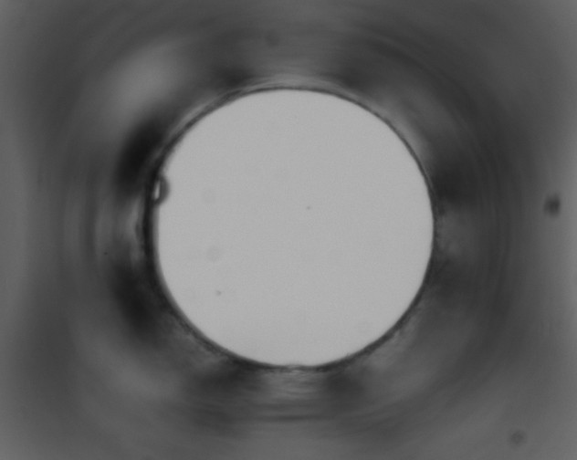 X0000101961150200807181034
