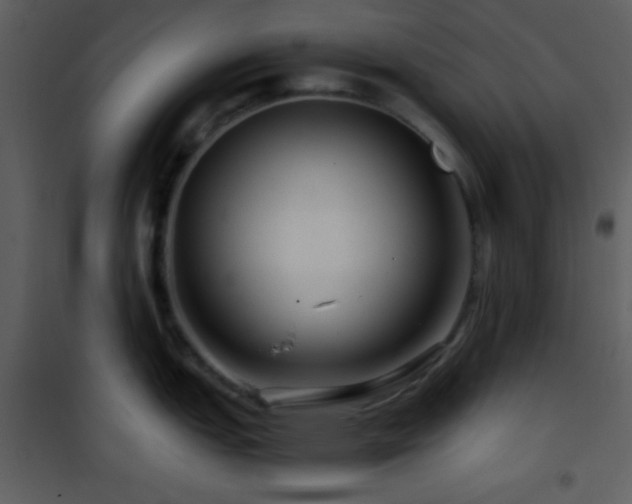 X0000101961151200807181034