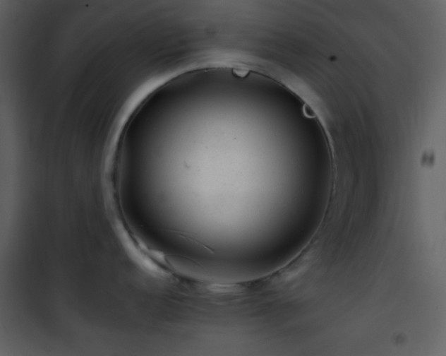 X0000101961152200807181034