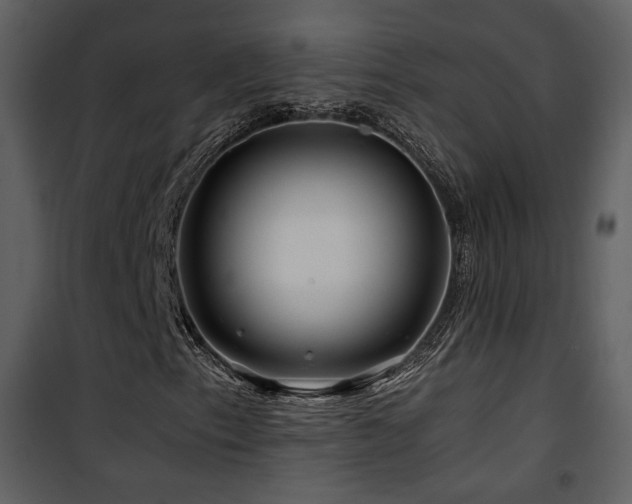 X0000101961153200807181033