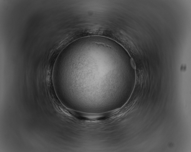 X0000101961154200807181033