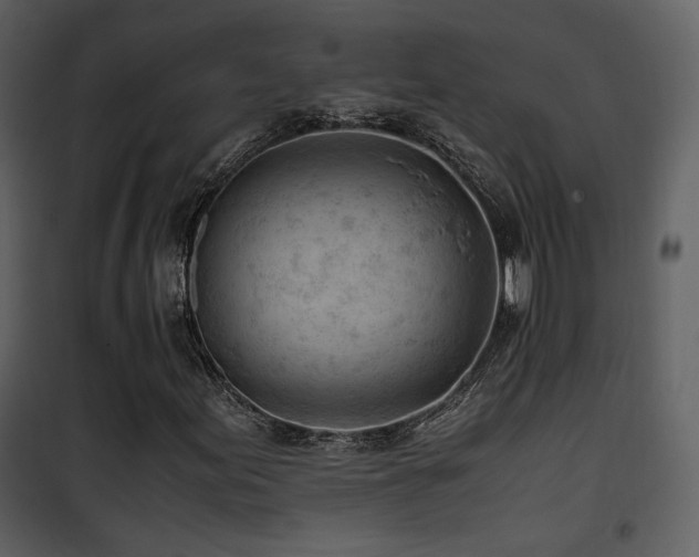 X0000101961155200807181033