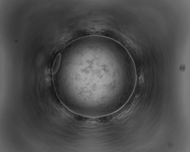 X0000101961156200807181033