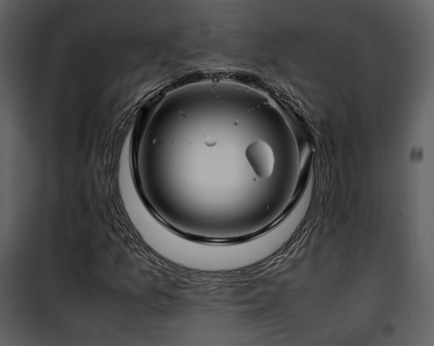 X0000101961157200807181033
