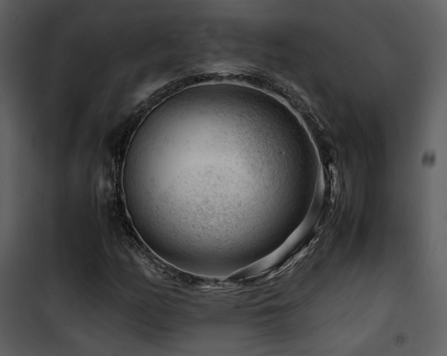 X0000101961158200807181033