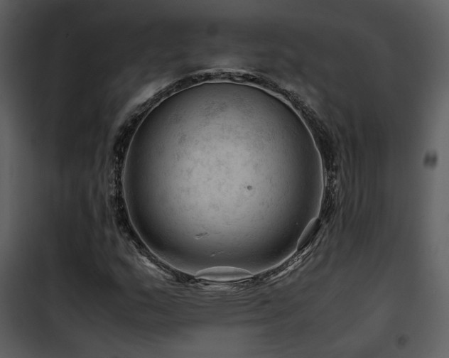 X0000101961159200807181033