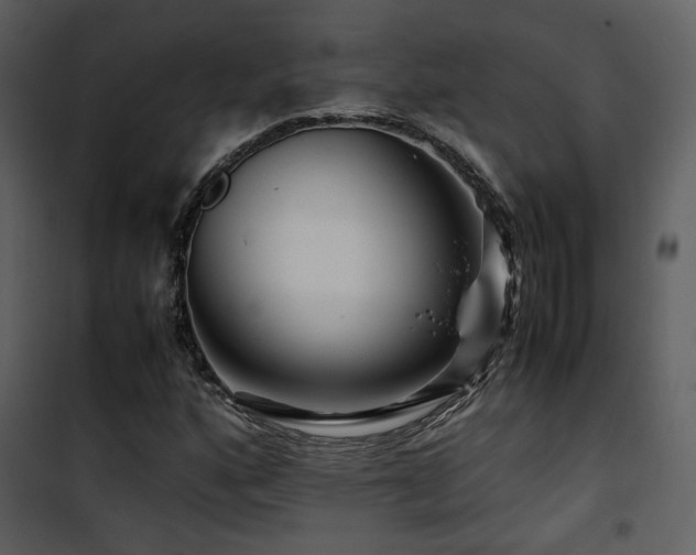 X0000101961160200807181033