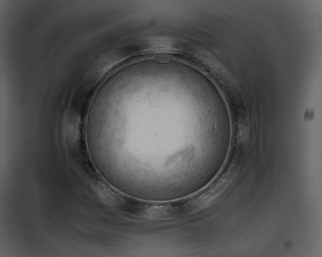 X0000101961161200807181033