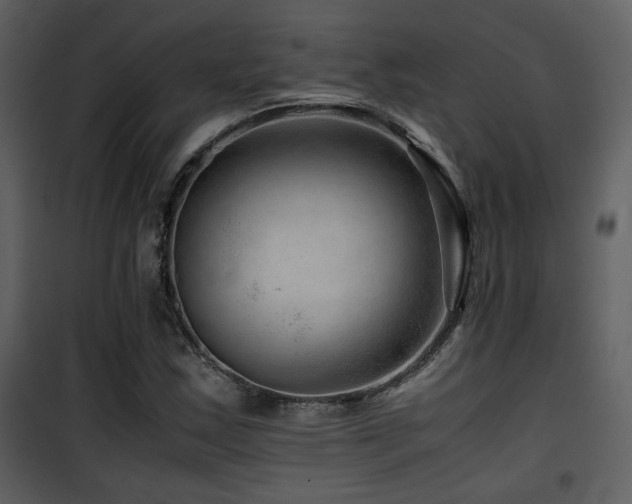 X0000101961163200807181033