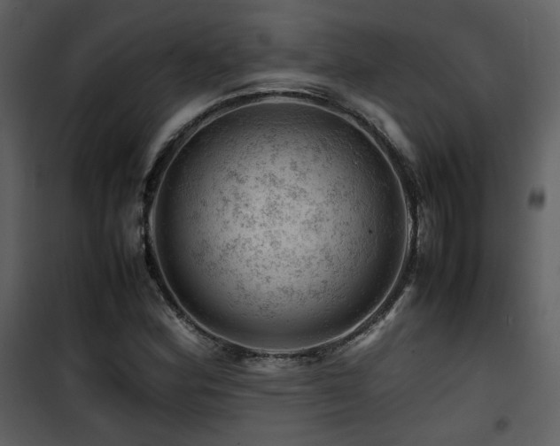 X0000101961164200807181033