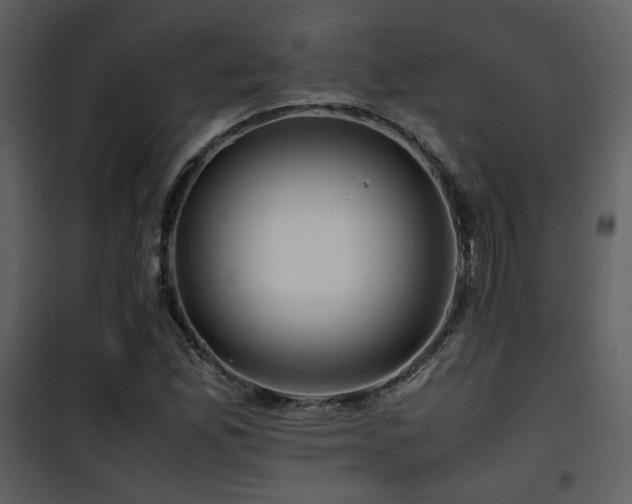 X0000101961165200807181033