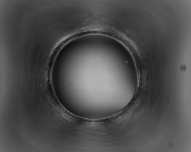 X0000101961166200807181033