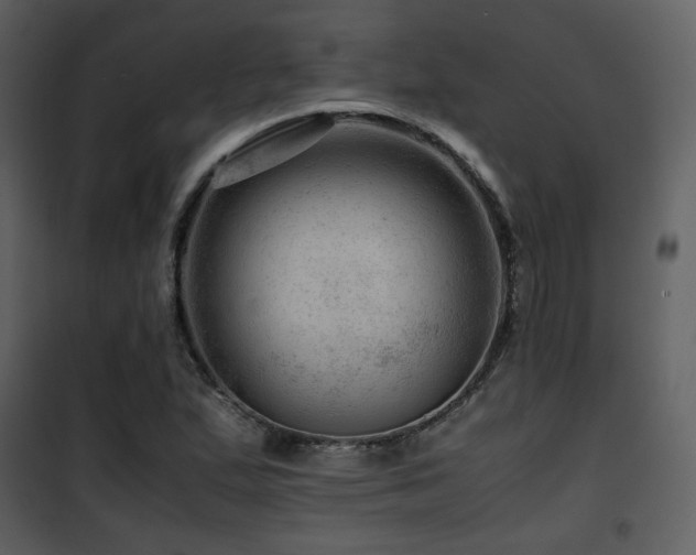 X0000101961167200807181033