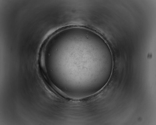 X0000101961168200807181033
